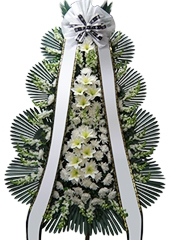 3ȭȯ